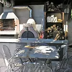 Ribolla