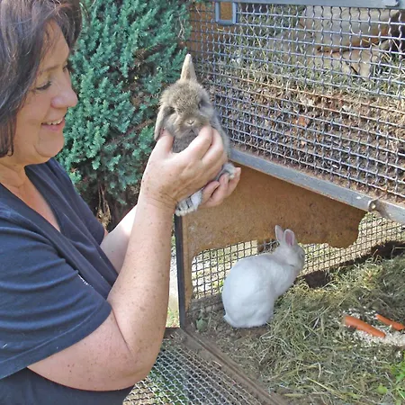 Ribolla Appartement Gravedona