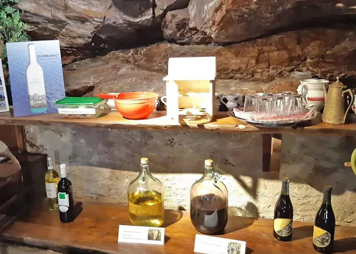 Ribolla Appartement *