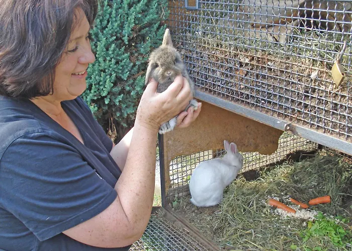 Ribolla Apartament Gravedona