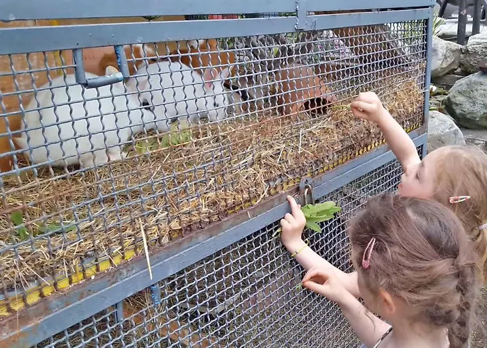 Apartament Ribolla *